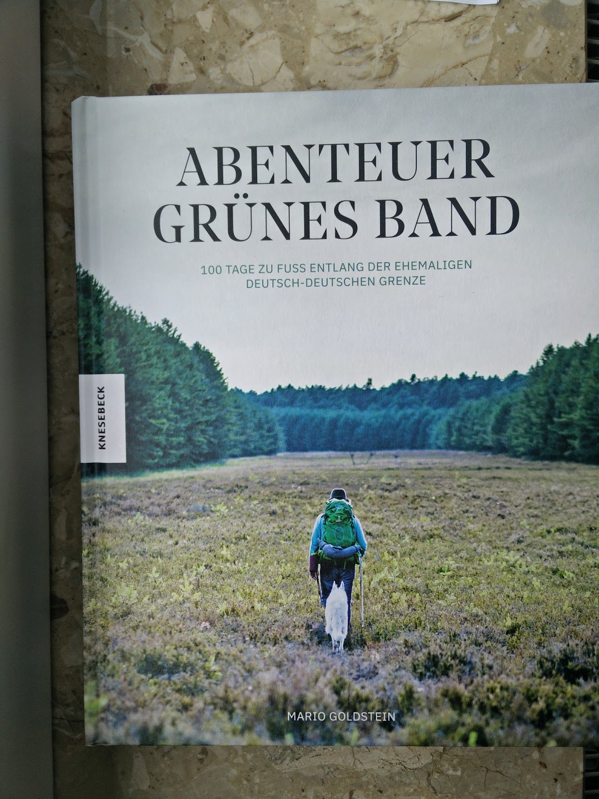 Sommerleses Bucherkiste Abenteuer Grunes Band Mario Goldstein