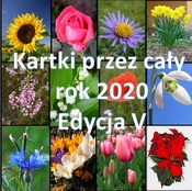 Kartki przez cały rok