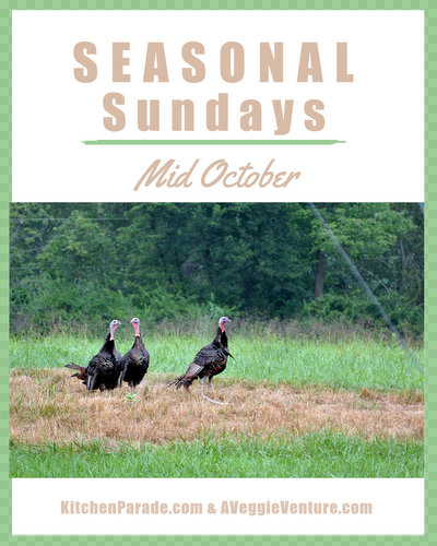 Seasonal Sundays ♥ KitchenParade.com, a seasonal collection of recipes and life ideas in and out of the kitchen.