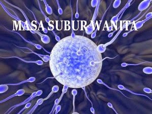 Cara Cepat Hamil Pasangan Muda