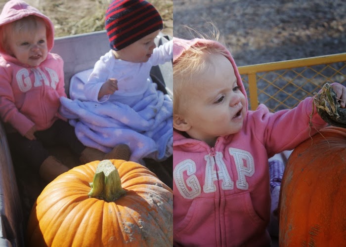 The Wright Family: The Pumpkin Patch.