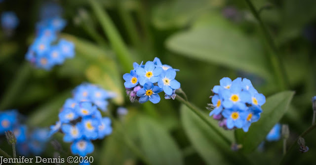 Post Winter Evaluations