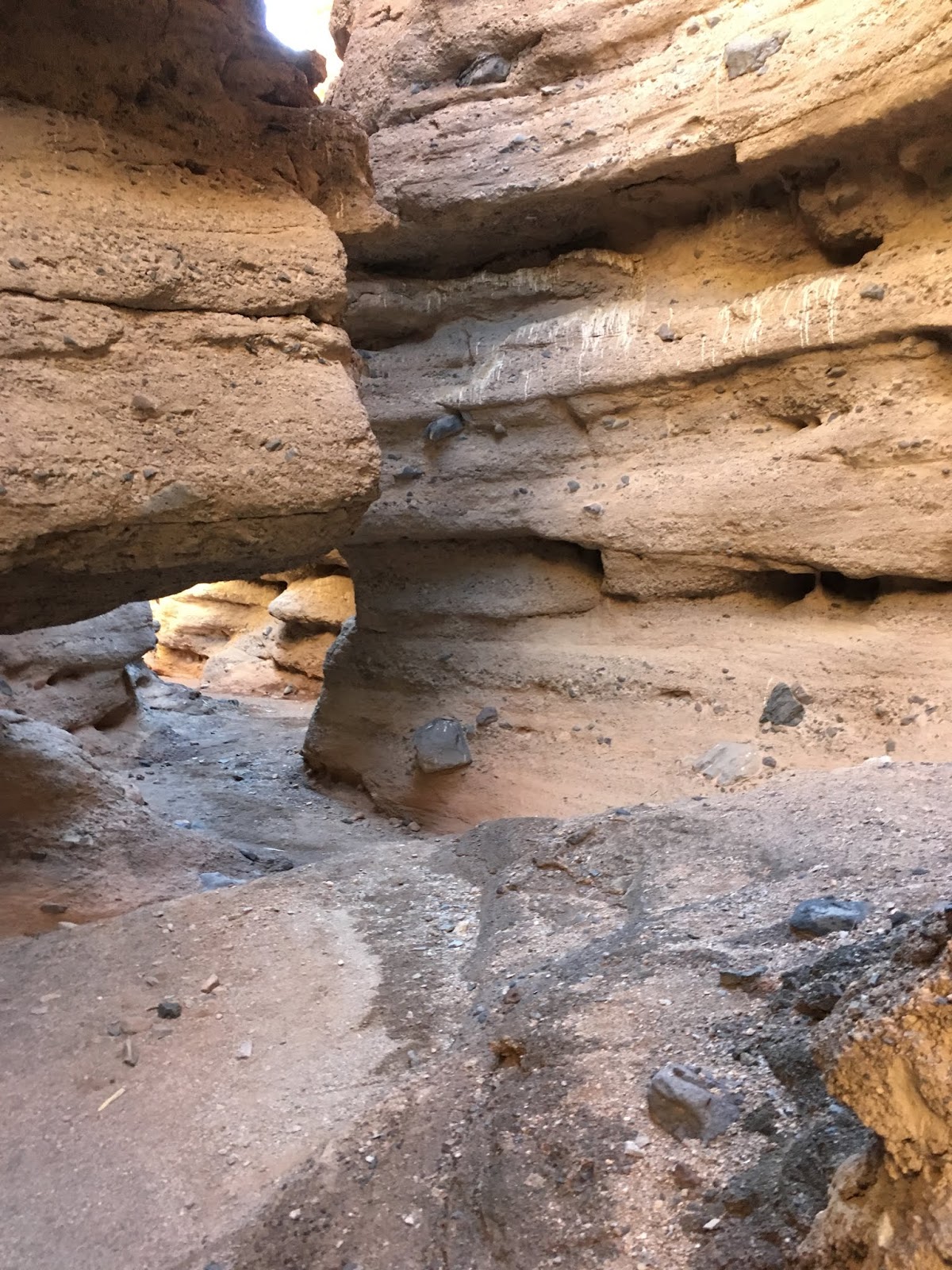 WHITE OWL CANYON. LAKE MEAD NATIONAL RECREATIONAL AREA, NEVADA ADAM
