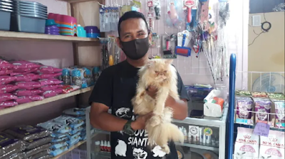 Cats Lovers Siantar Harap Pelaku Mutilasi Kucing di Medan Ditangkap