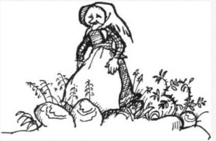 Ulf Bjereld: Krösa-Maja i den svenska politiska debatten