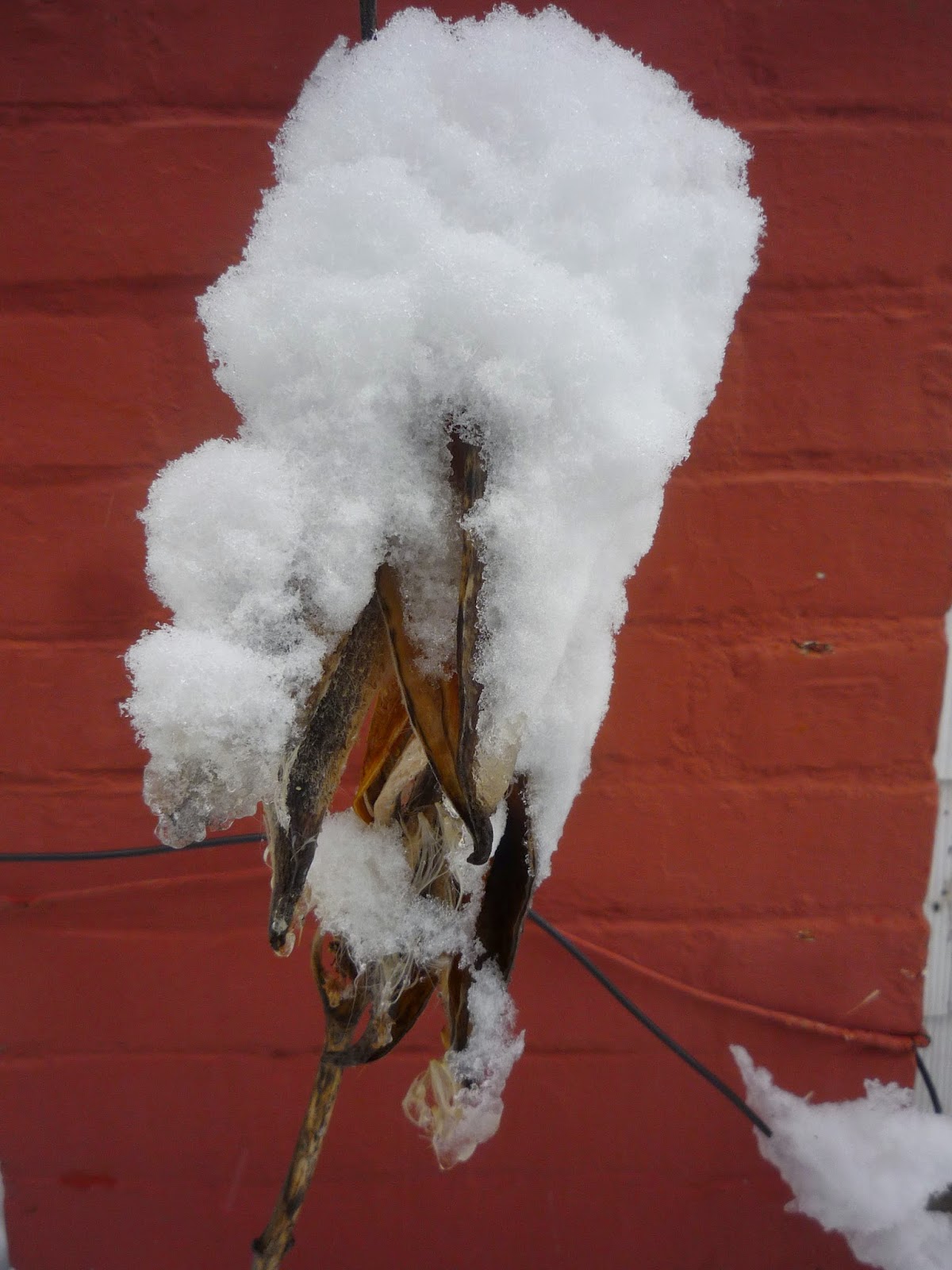 Weather in Vermont Dec 2014 Snowstorm South Burlington, Vermont