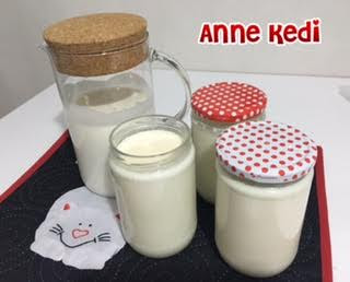Anne Kedi Danem Ile Probiyotik Yogurt Ve Kefir Yapimi