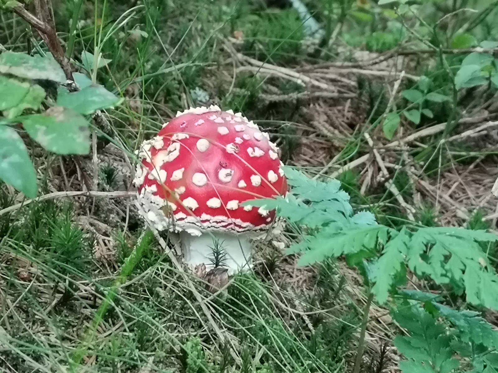 Erker 09 2017 By Der Erker Issuu