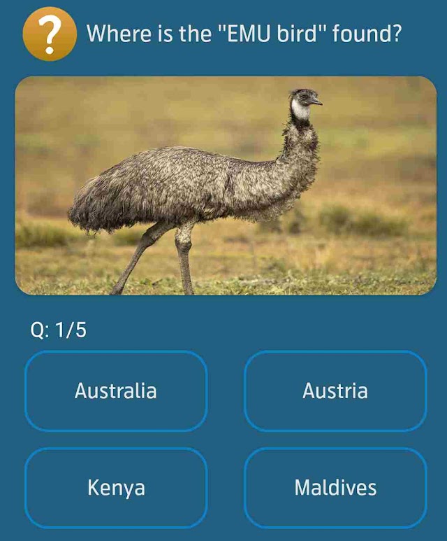 Where is the EMU bird found?