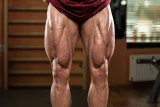 Top 5 Exercises For Building Legs, Muscular Legs Top 5 Exercises For Building Legs, Muscular Legs