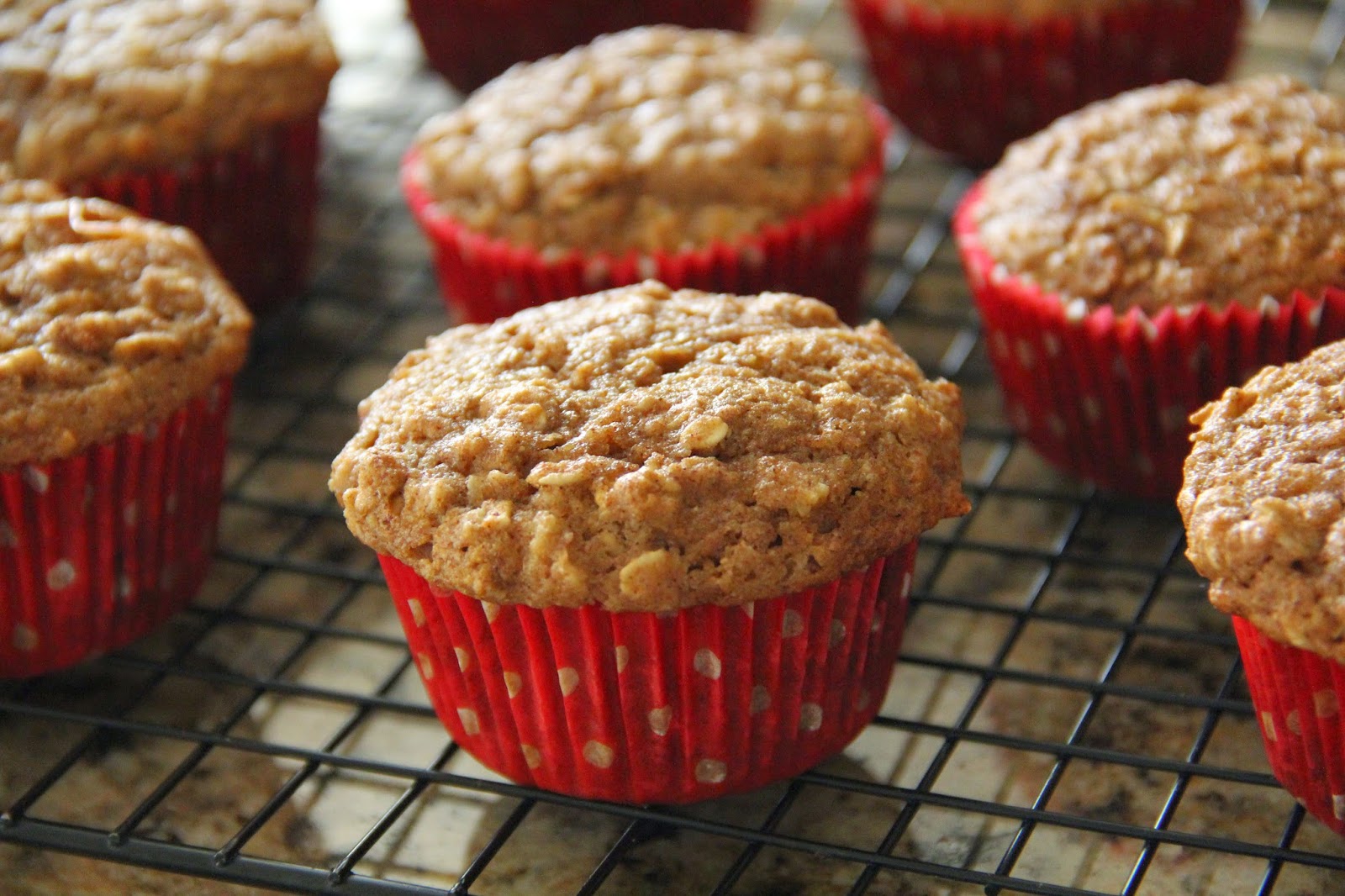Cookie Sundays Applesauce Oat Muffins