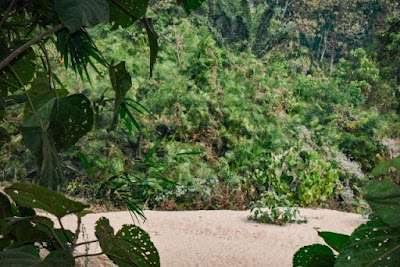 Beautiful Satchari national park tour guide 2021 6 A beautiful place in Satchari National Park