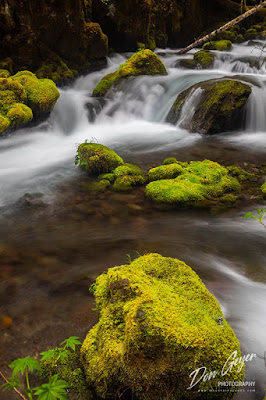 A waterfall along the Quilcene Riverl in the Buckhorn Wilderness, Olympic National Forest, Washington, USA.