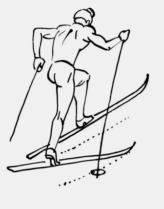 Лыжник 3 класс. Подъем в гору полуелочкой на лыжах. Полуелочка лыжи.