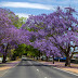 Best Routes for Australia Road Trip | Are You Planning for Australia Road trip? Read This Blog-