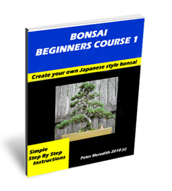 Bonsai Beginners Course 1
