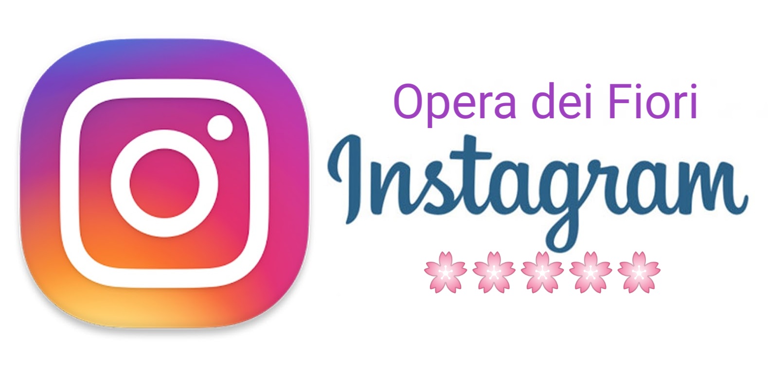 Opera dei Fiori su Instagram