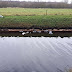 Ruim 100 zakken hennepafval in Schoonebeek gevonden