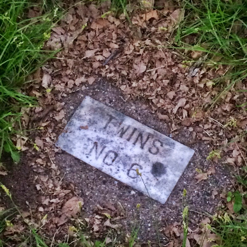 My Crash Course 2015