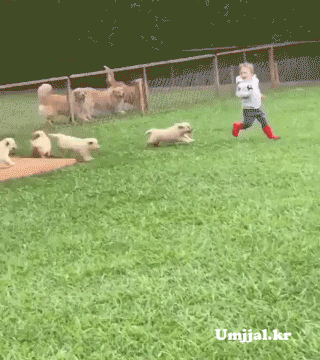 Umjjal_kr_038.gif