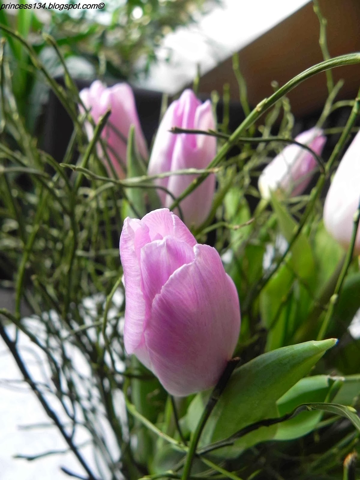 JUST PRINCESS Blumen der Woche