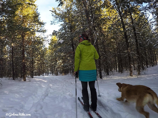 Cross Country Skiing in the Uintas, North Fork Provo XC Ski Trail 
