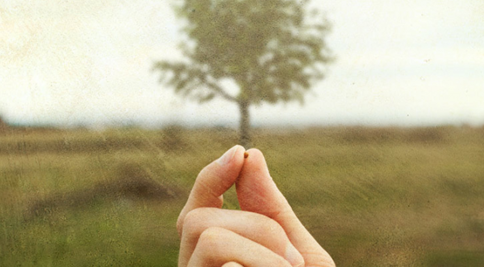 Preparing for Sunday Mass Notebook 16th Sunday in Ordinary Time (Cycle