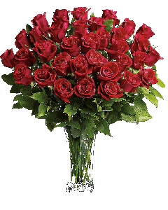 Zobacz obraz źródłowy