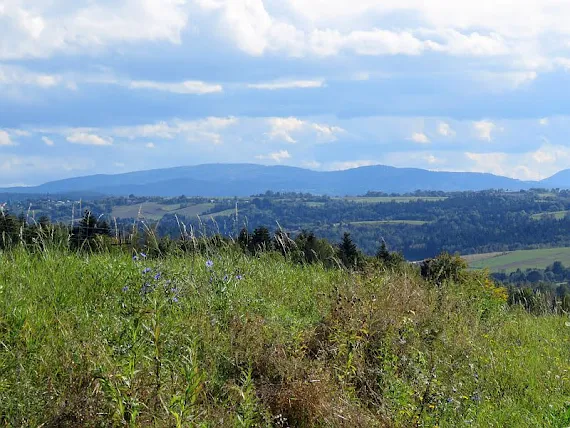 Panorama południowa na Pasmo Jaworzyny Krynickiej panorama