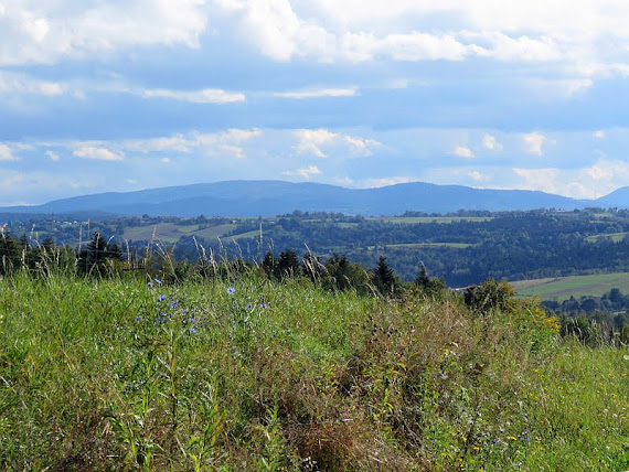 Panorama południowa na Pasmo Jaworzyny Krynickiej panorama