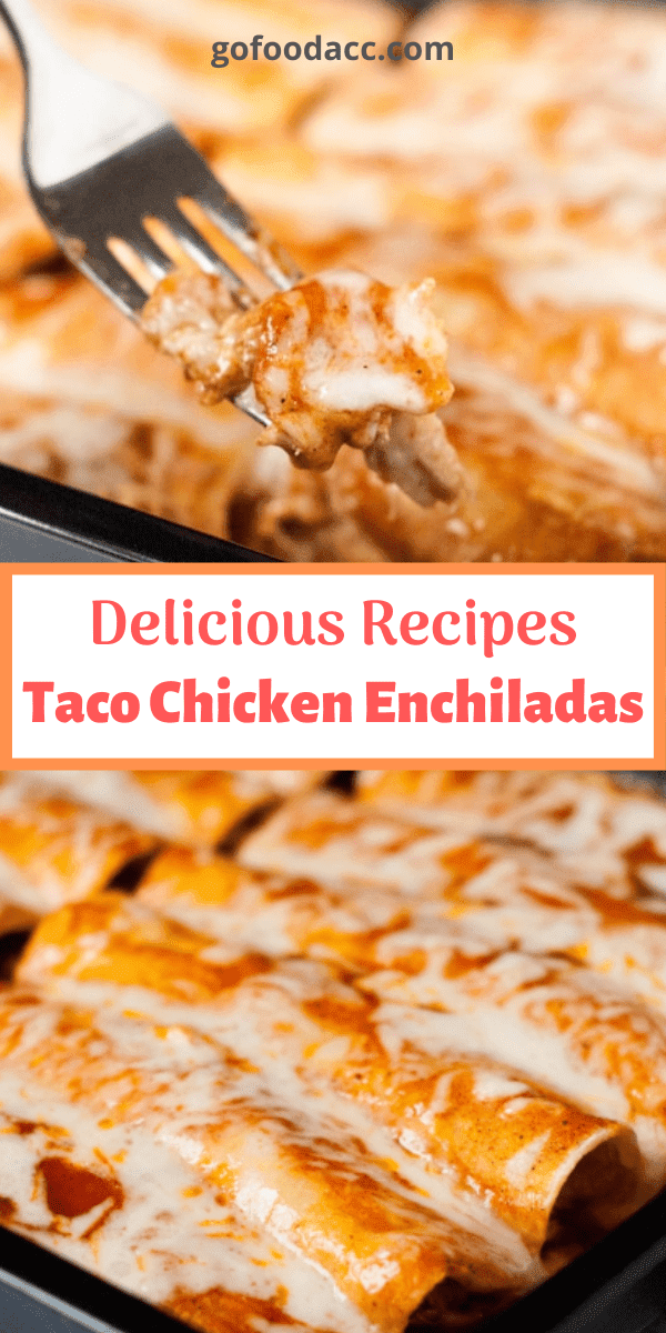 Taco Chicken Enchiladas Chicken Recipes