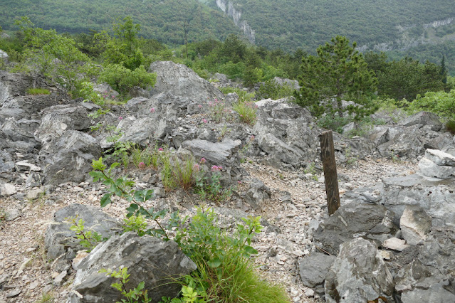 marocche di dro