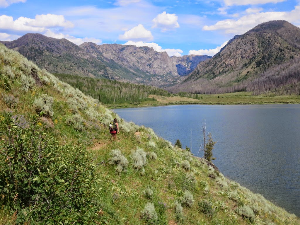 Why not us? The tale of the Youmans Bonus Year: Wind River &hellip;