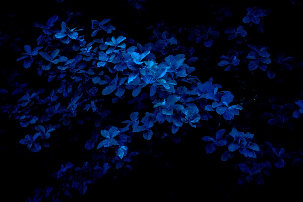 30+ Background Paling Keren Kontemporer - antarAksara