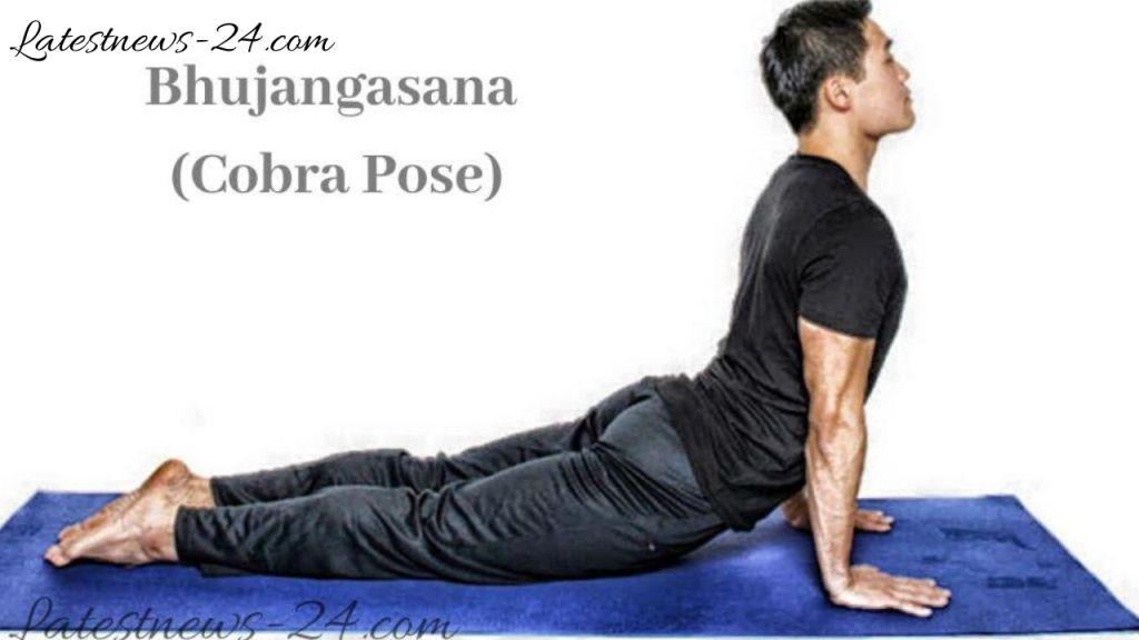 Bhujangasana Yoga Asanas 
