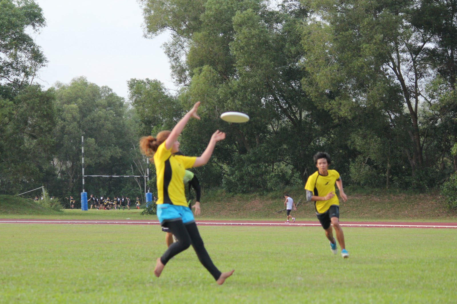 Where did my frisbee disc go?