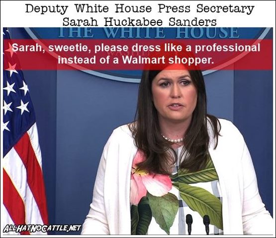 sarah-huckabee-sanders-press-dress-walmart.jpg