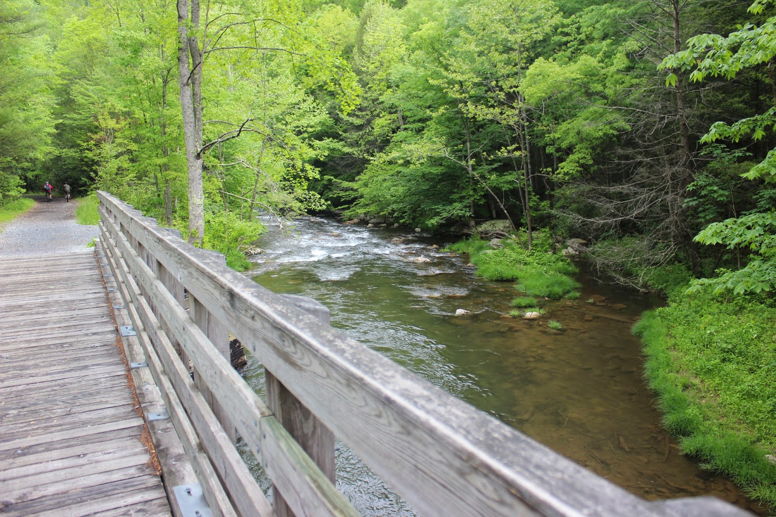 The Writing Rider The Creeper Trail