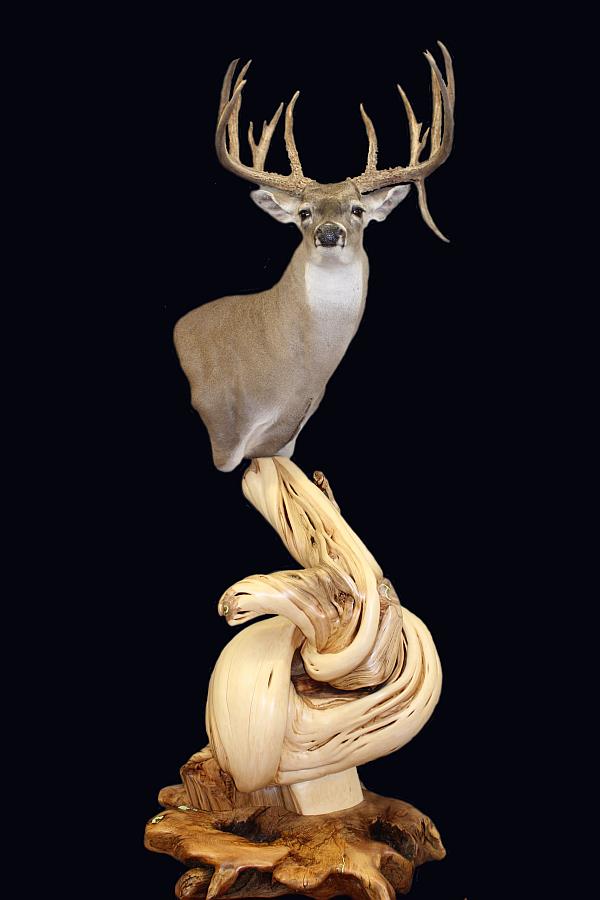 Custom Juniper Log Furniture & Taxidermy Pedestals Taxidermy Pedestals