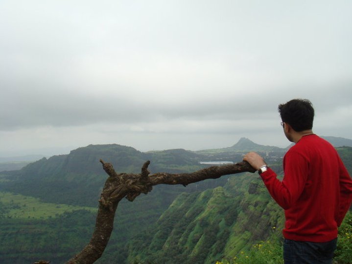 Manish Bothra's Money Mystery My Way Of Reading Charts