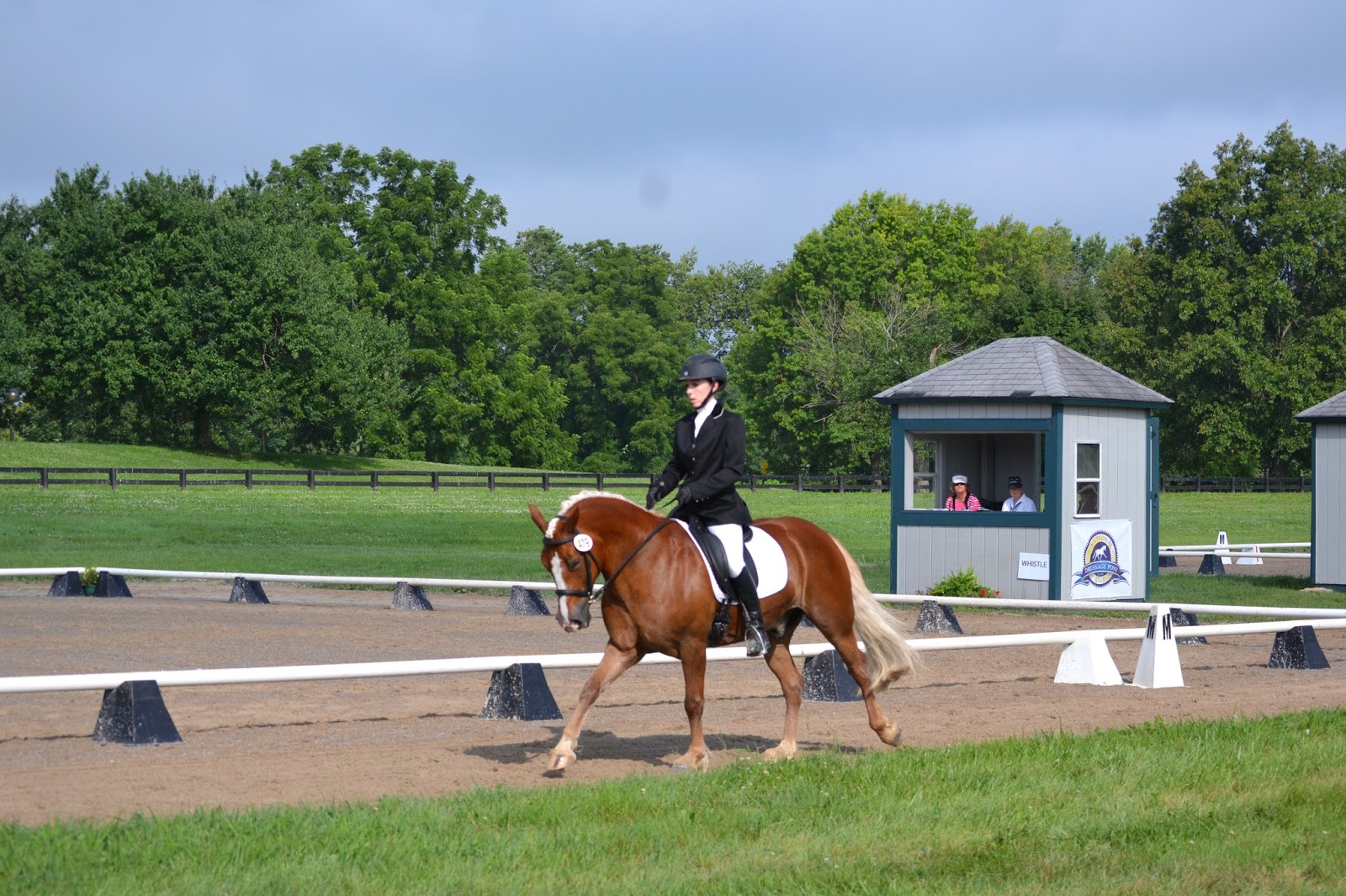 Cob Jockey 2021 Membership Costs