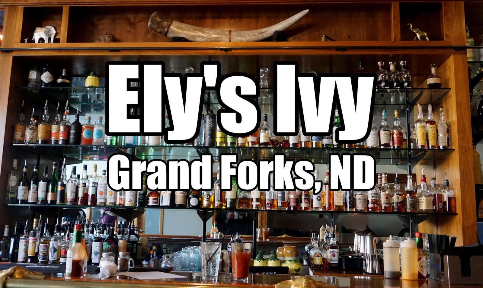 [Grand Forks, ND] Ely's Ivy