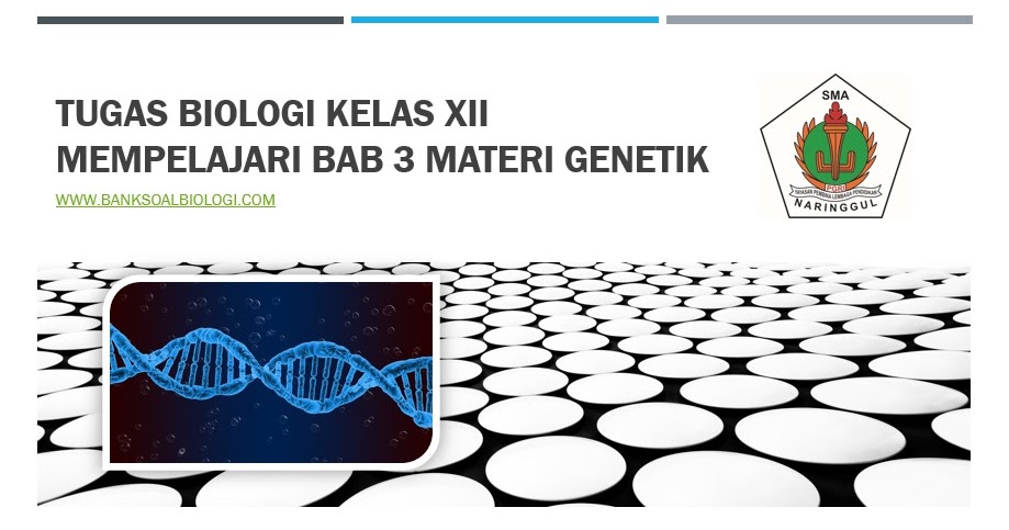 Tugas Biologi Kelas Xii Mempelajari Bab 3 Materi Genetik Bsb