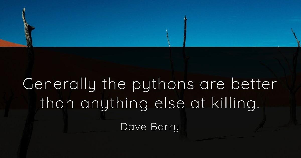 Top 10 Python Quotes - QUOTEISH