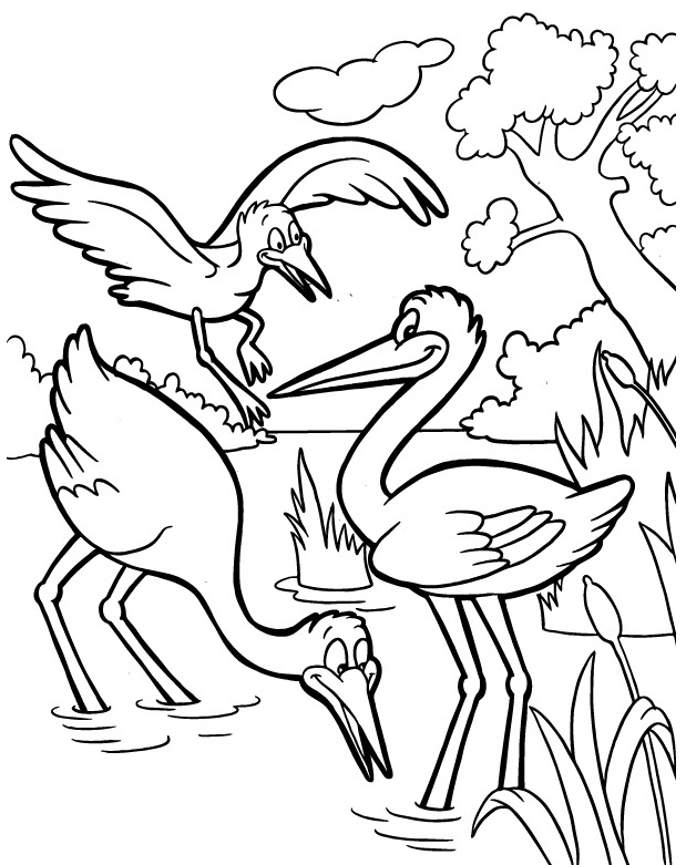 Kids Page: Birds Coloring Pages | Printable Birds Coloring Picture