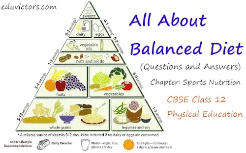 CBSE Class 12 - Physical Education - Chapter: Sports Nutrition - All About Balanced Diet (Questions and Answers)(#class12PhysicalEducation)(#balancedDiet)(#eduvictors) CBSE Class 12 - Physical Education - Chapter: Sports Nutrition - All About Balanced Diet (Questions and Answers)(#class12PhysicalEducation)(#balancedDiet)(#eduvictors)