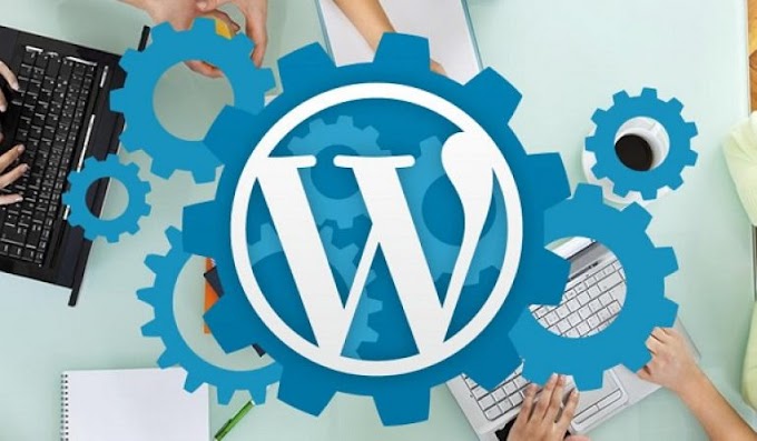 4 Reasons Why You Should Hire WordPress Experts For Your Startup