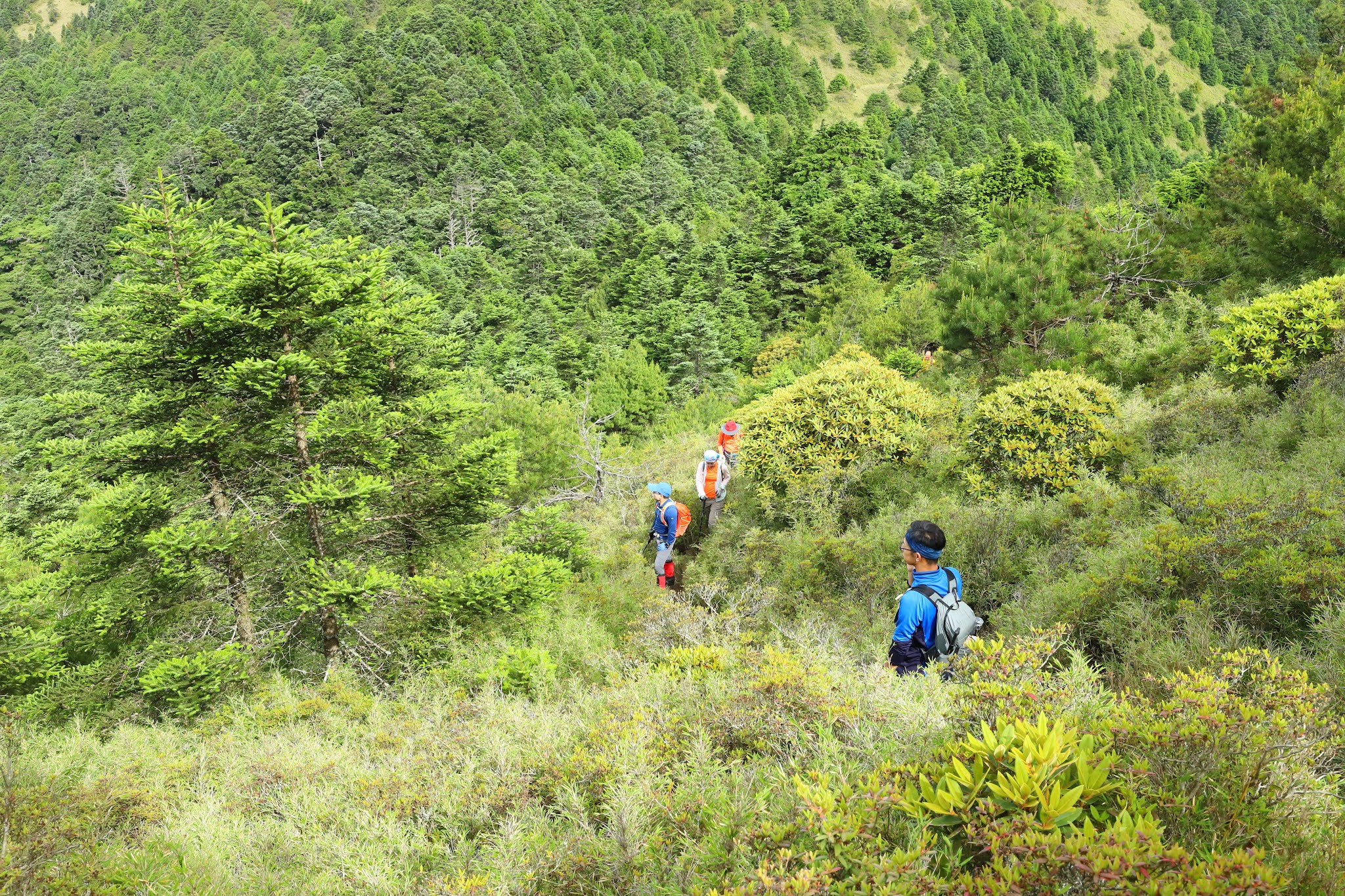 準備攀登鈴鳴山