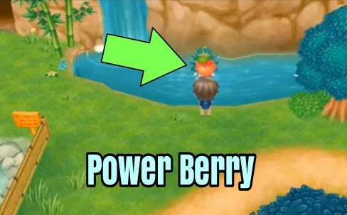 Story of Seasons: Friends of Mineral Town Power Berry