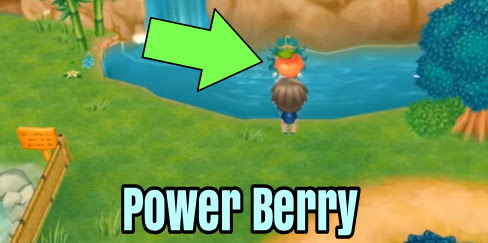 How to Get All Power Berries - Story of Seasons: Friends of Mineral Town Guide